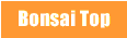 Bonsai Top Page