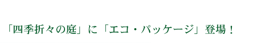 ulG܁X̒vɁuGREpbP[WvoI